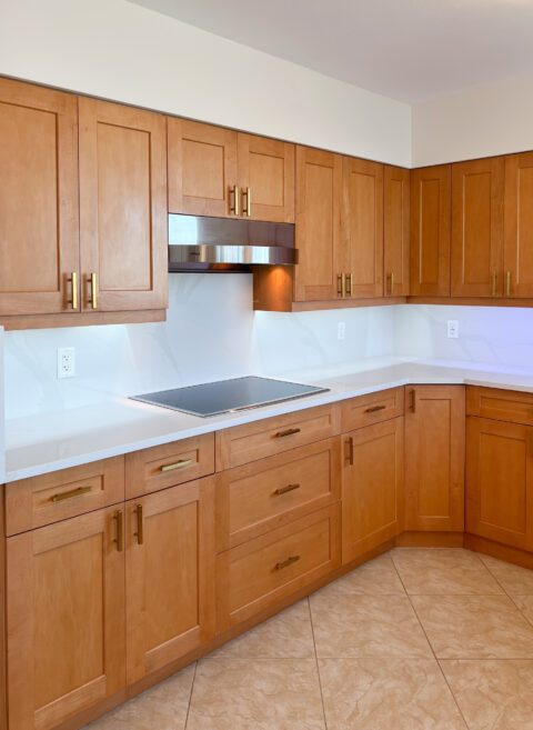 new kitchen look remodeled by avlas group